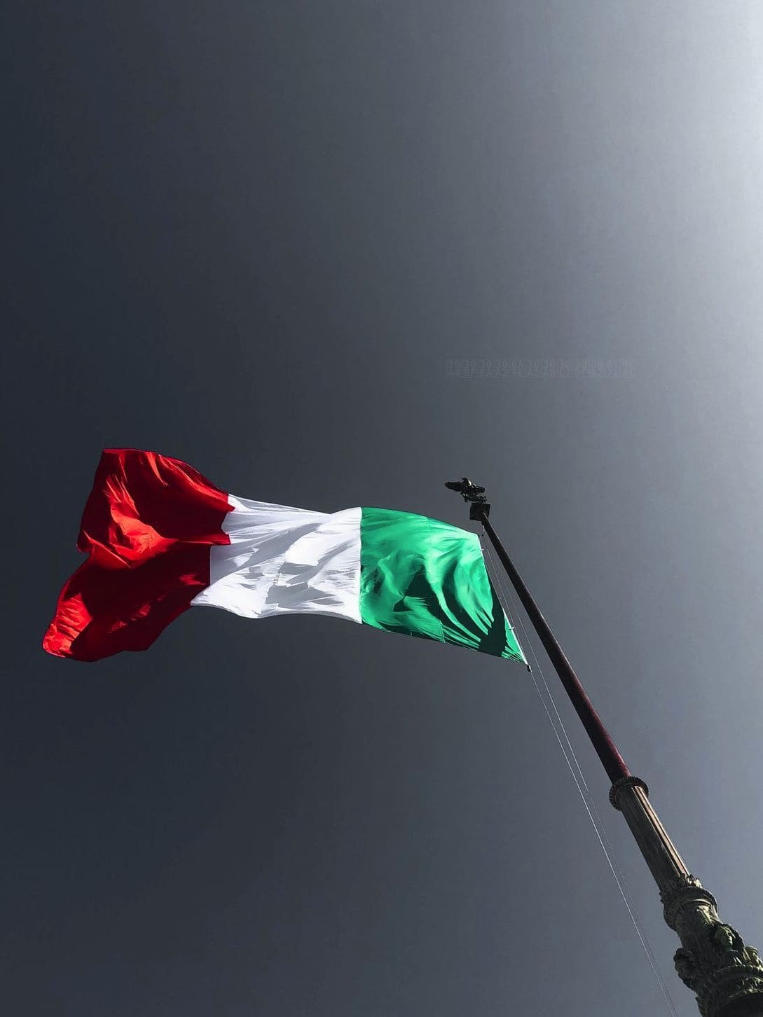 ビジネスイタリア語研修
